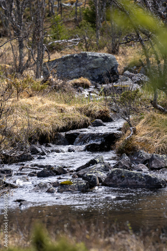 a small mountain stream with blue clear water where there is dry grass and big gray stones along the edge
