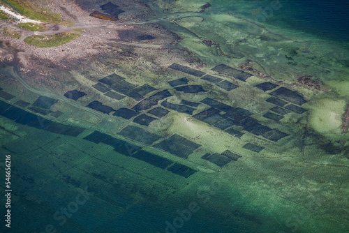 An aerial view of oyster beds in shallow waters off the coast of Vancouver Island, Canada. photo