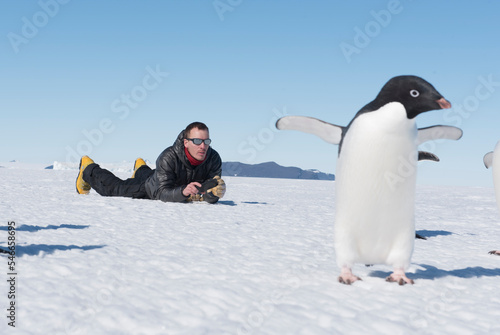 A man has a close encounter with an Adelie Penguin in Antarctica. photo