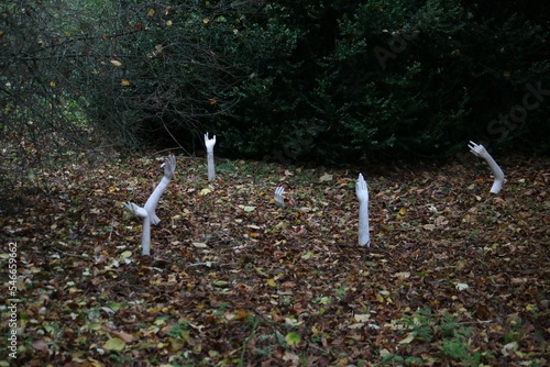 Scary installation, halloween decoration of hands coming out of autumn foliage in a deep forest
