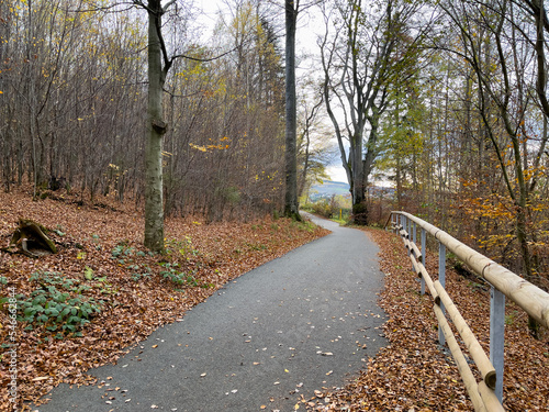 View of road in colorful forest in autumn. Beautiful landscape with roadway, red and orange leaves in fall.