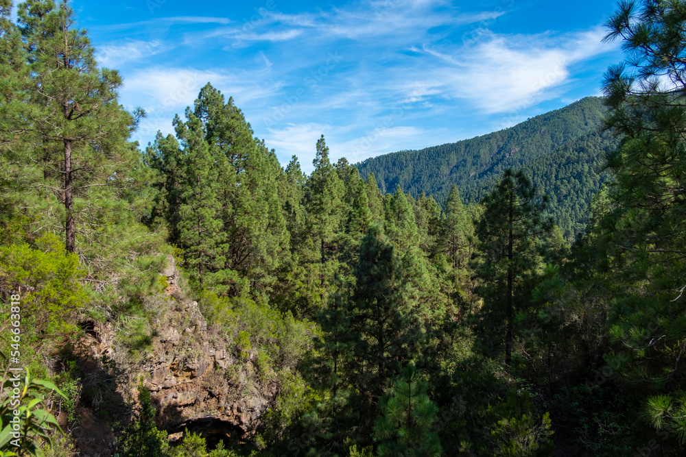 Impressionen einer Wanderung von Aguamansa nach La Caldera  und Pinolere. In der Gemeinde La Orotava auf der Kanareninsel Teneriffa.