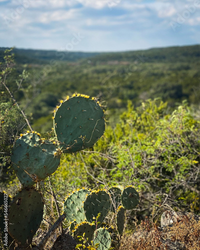 Government Canyon State Park