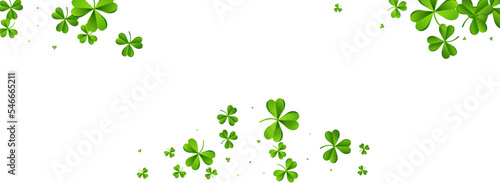 Olive color Clover Holiday Vector White Panoramic