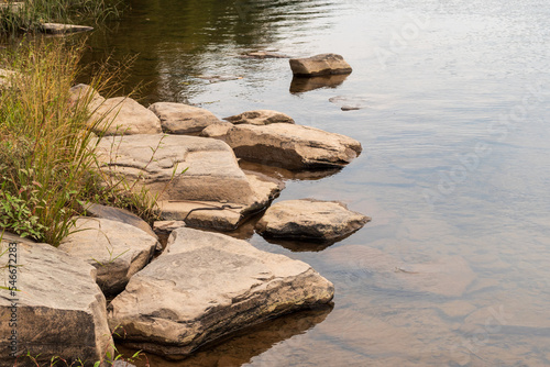 Photography Snake on the rocks
