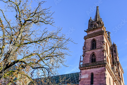 Basel, Münster, Pfalz, Münsterplatz, Stadt, Altstadt, Kirche, Grossbasel, Kirchturm, Kreuzgang, Herbst, Herbstsonne, Rhein, Basel-Stadt, Schweiz