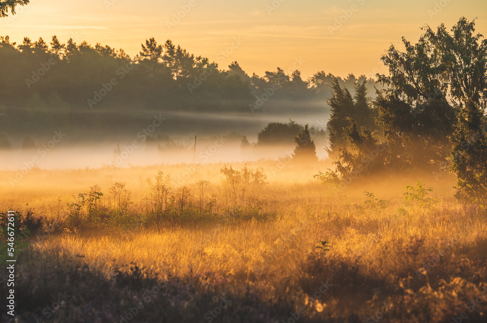 Fototapeta premium Celle, 25.11.2022