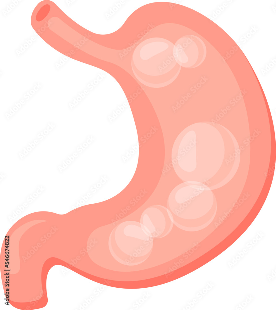Stomach bloating flat icon Human digestive system Stomach bloating flat icon Human digestive system