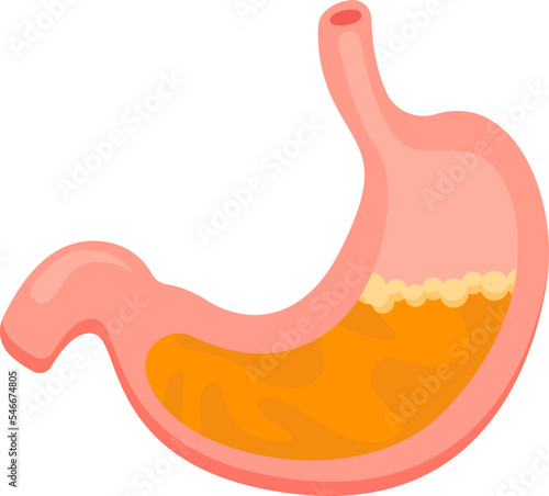 Increased acidity in stomach flat icon Internal organ