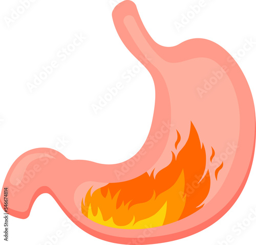 Stomach heartburn flat icon Internal organ Treatment