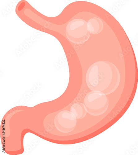 Stomach bloating flat icon Human digestive system photo