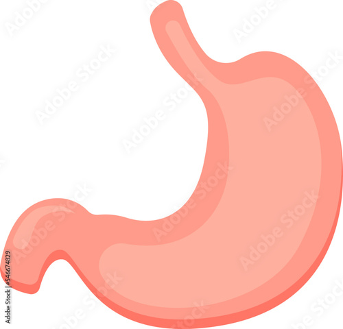 Stomach flat icon Human digestive internal organ