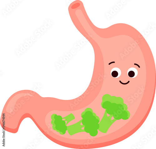 Healthy cartoon stomach flat icon Broccoli diet