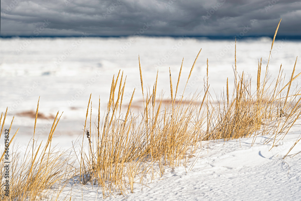 A frozen landscape along the north shore of Prince Edward Island in the PEI National Park, Canada. A frozen landscape along the north shore of Prince Edward Island in the PEI National Park, Canada.