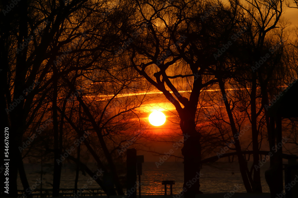 Late December Sunrise through the trees over Lake Ontario
Late December Sunrise through the trees over Lake Ontario