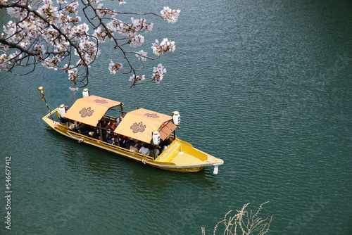 Sakura River Boat