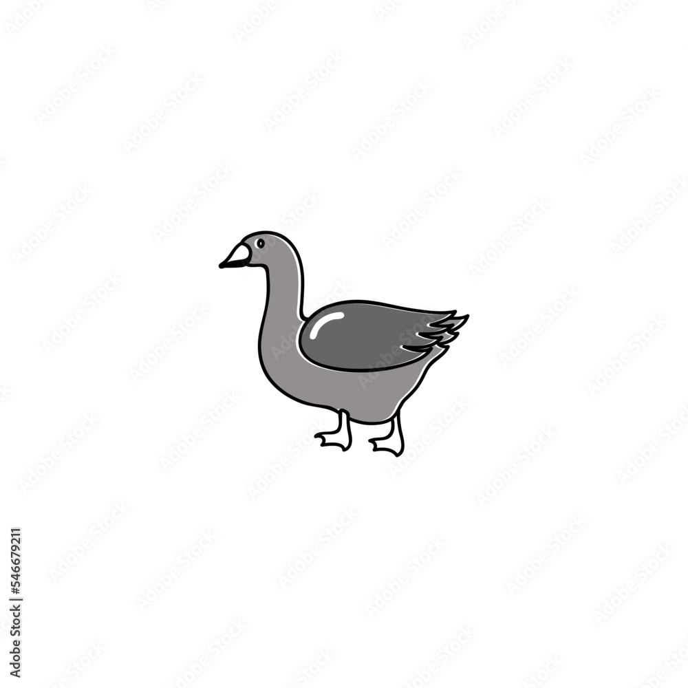 Fototapeta premium duck vectoe design