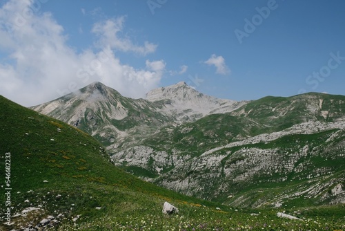 A grassland in a mountain photo