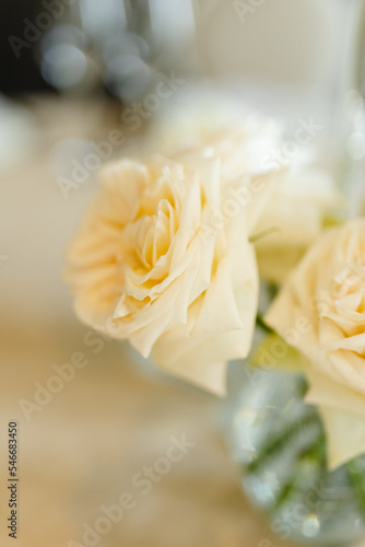 Rose in arranged bouquet  photo