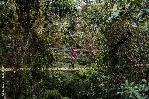 Wallpaper Mural travel rainforest Torontodigital.ca