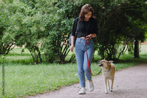 Young woman walking with her dog photo
