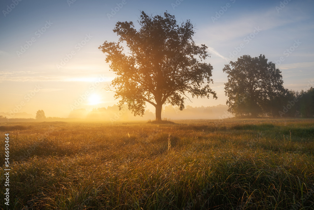 Autumn scenic landscape