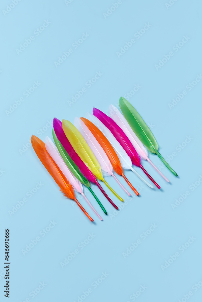 Vivid feathers laid on blue background. Vivid feathers laid on blue background.
