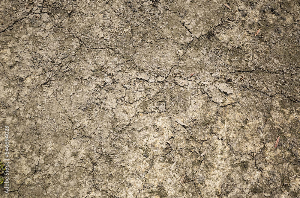 Naklejka premium concept background of nature dry