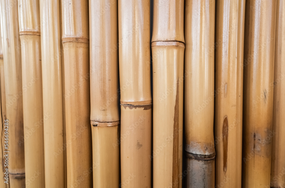 Fototapeta premium yellow bamboo craft background