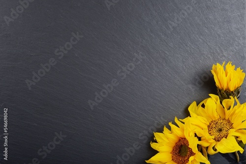 Beautiful sunflowers bouquet on black background.