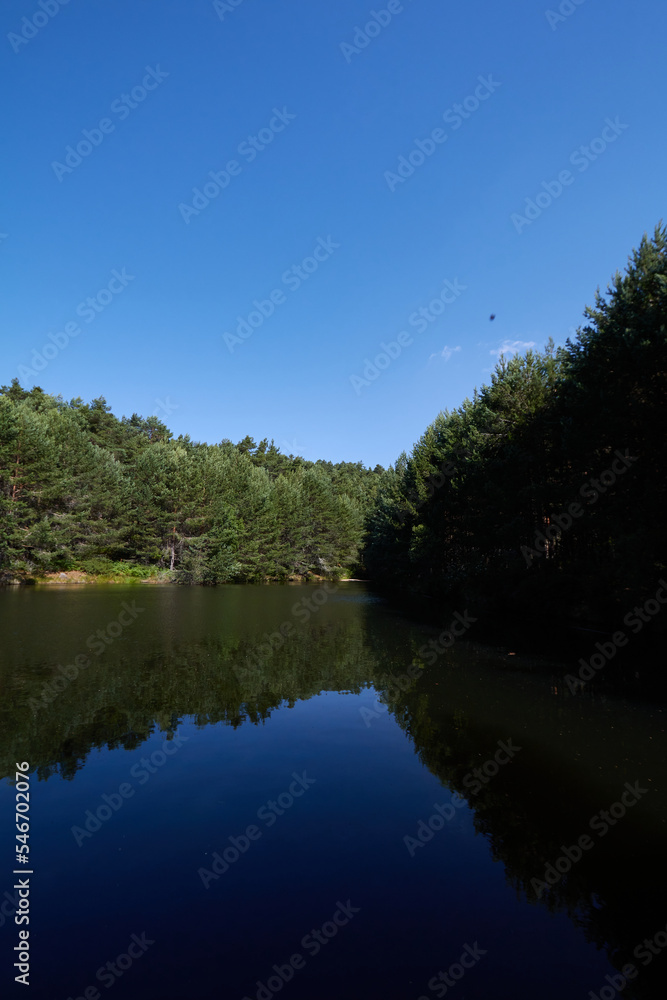 Fototapeta premium Calm river near coniferous trees