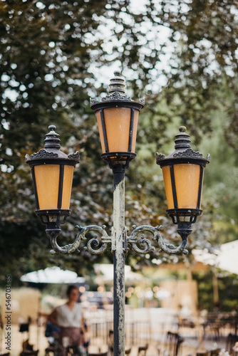 Old vintage lantern in a garden photo