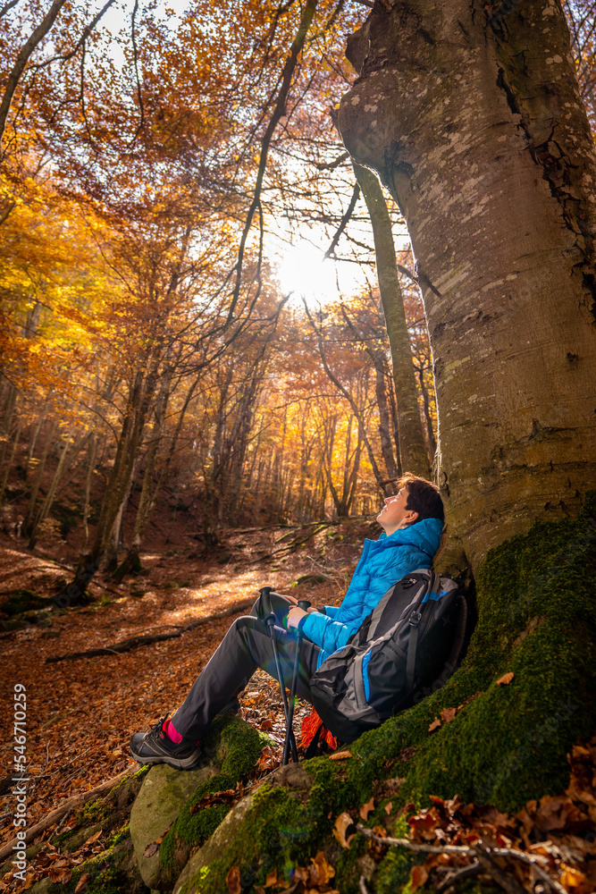 Fototapeta premium Young woman enjoying the fall colors among beech trees in October.