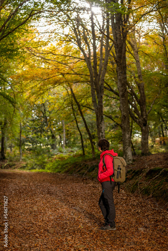 Young woman enjoying the fall colors among beech trees in October. © JuanFrancisco