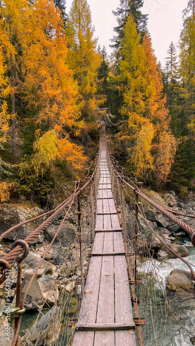 wooden bridge in autumn forest, wooden suspension bridge in a forest, wooden chain bridge in the wilderness, wooden pendant bridge in a fall forest, bridge over a river