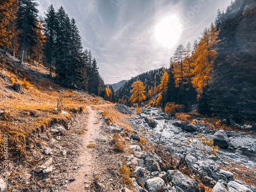 Autumn river, autumn wilderness, forest with fall colors, forest with autumn colors, hike on a autumn day, river through a autumn forest