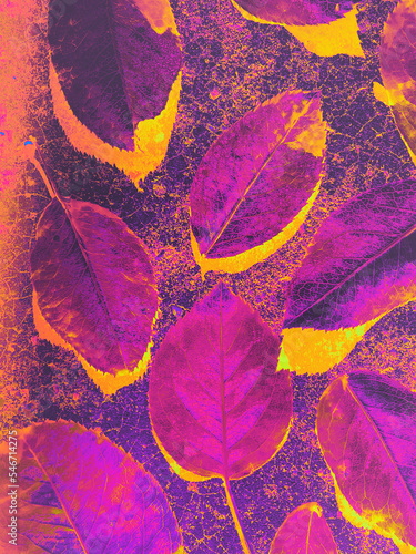 Colorful exploration of Rosa canina leaves series photo