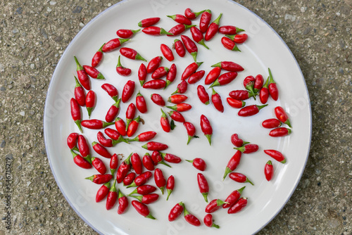 fresh Calabrian chilies peppers photo