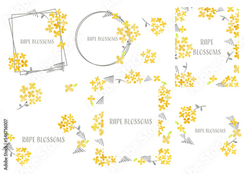 rape blossom frames set