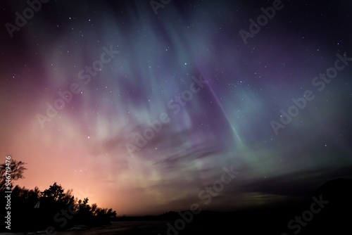 aurora borealis in the forest