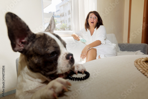 woman and dog photo