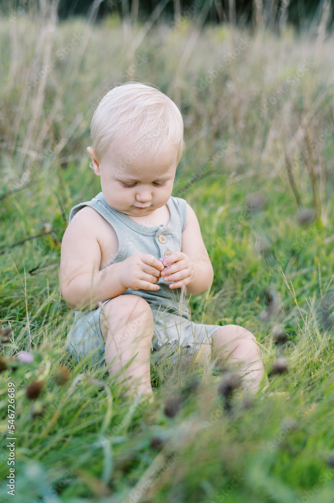 Portrait of a blonde infant boy in tall grass Portrait of a blonde infant boy in tall grass