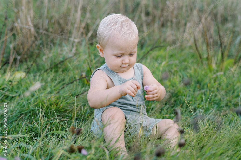 Portrait of a blonde infant boy in tall grass Portrait of a blonde infant boy in tall grass