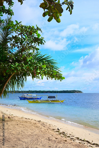 beach with palm trees and boats