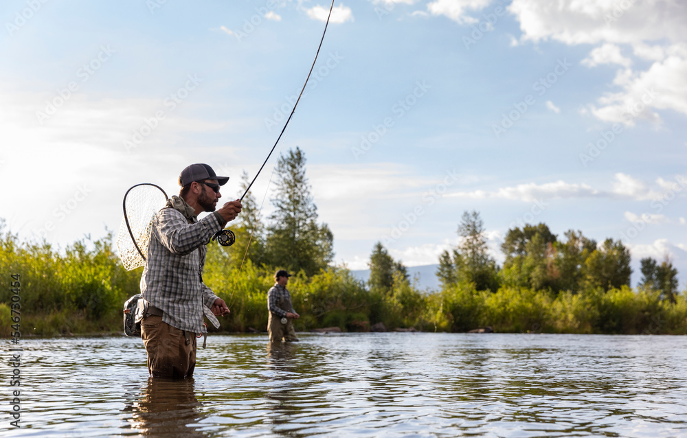 Fly Fishing action casting Provo River Utah in United States Fly Fishing action casting Provo River Utah in United States