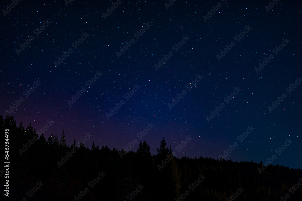 Northern Lights in Washington