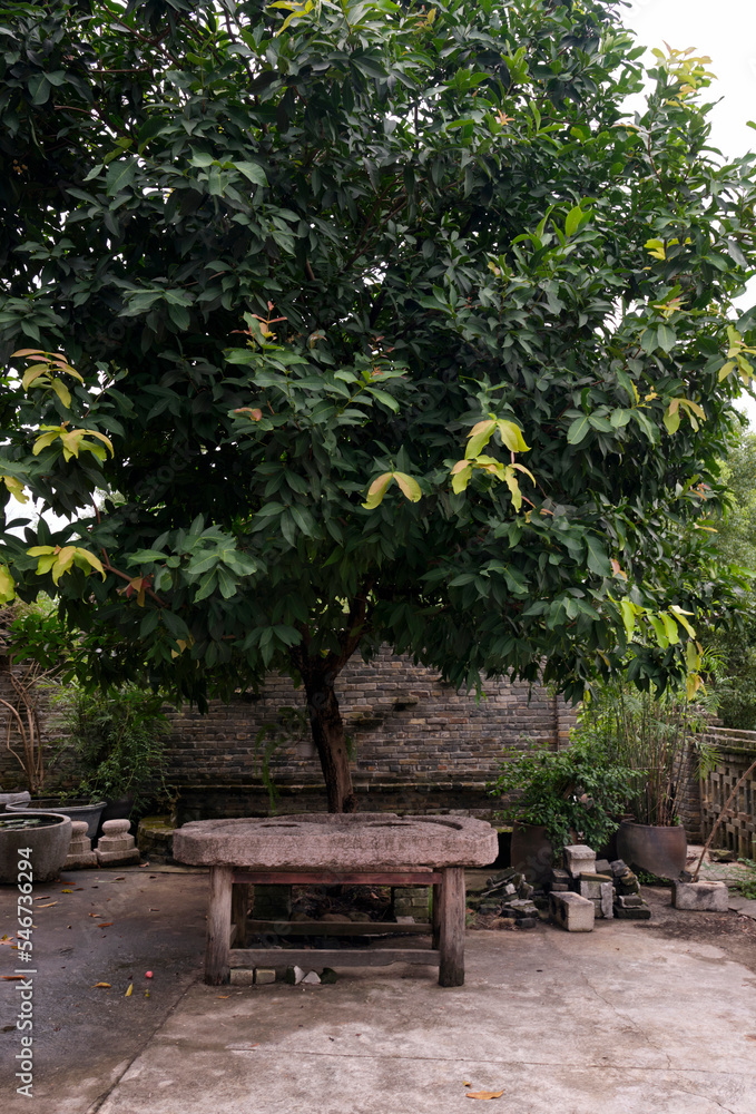 Detail of quiet and unoccupied Chinese courtyard Detail of quiet and unoccupied Chinese courtyard