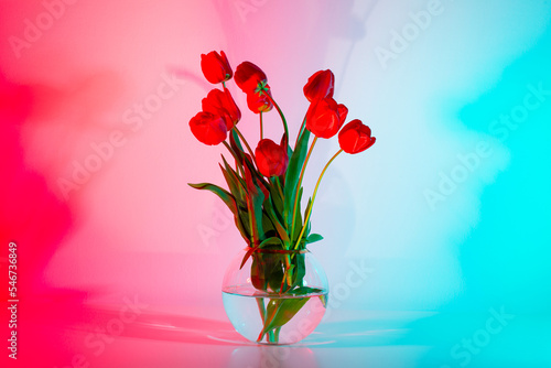 Bouquet of red tulips in vase photo