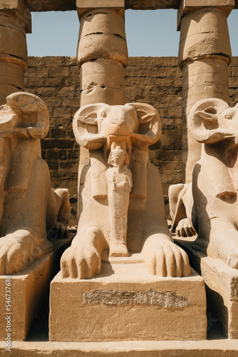 A single ram headed sphinx at the Temple of Karnak photo