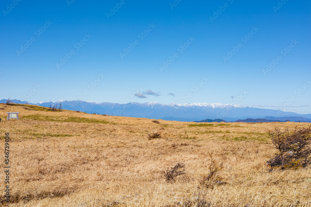 field of wheat field of wheat
